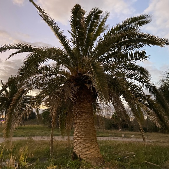 Meet your Posher, Jessica - Picture 10 of 12